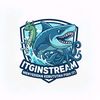 itginstream
