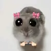 rose_74474