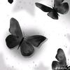jian_yan4