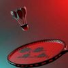_plyrbadminton_