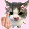 qeel_novwy