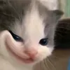 connguoidepzai_000