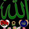 bugtibaloch53173