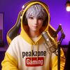 peakzone.gaming