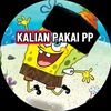 akbar.akmal14