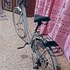 rh_m255