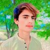 malikshahzad1085