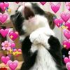 user150697958