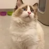 ifuseekme