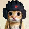 jimichanga_500