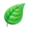 hoja.oficial5