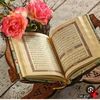 user66332127255954