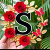 user2036051691262