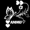 ammusalman8