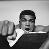 boxer1003