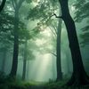 waqas_brw_327