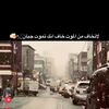 majd73866