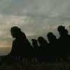 mahmoudmoun1