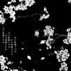 am.am0606