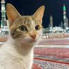 omyoussef2308