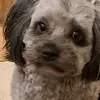 ronja.snoopy2025