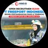 Freeport Indonesia