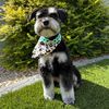 lunatheminischnau