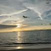 badria_525