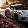 porschy.porsch