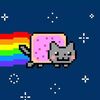 miaucat900