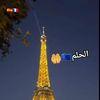 user24184072307373