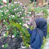 hiini.iza
