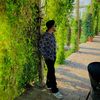 treader.saqib