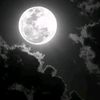ahmedebrahim4691
