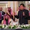 imran.khan.tiger517