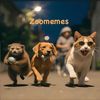 zoomemess
