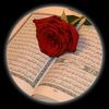 allah.est.le.meil4