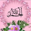 user6618134839115