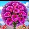 user734059195