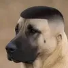 aaaaaawwwaa