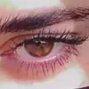 shn4ydarya