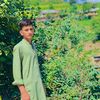 ilyas.chamot
