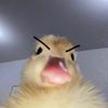 minhiepie