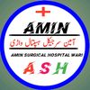 aminsurgicalhospital