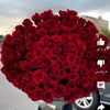 user4417102672094
