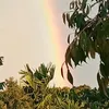 nguyendinhquananh11