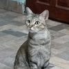 naomiismycat