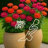 abdul.rashid0669