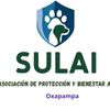 SULAI