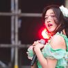 stevann_vel